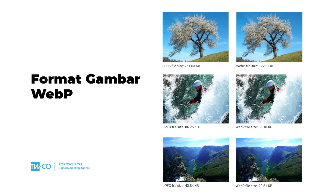 Apa Itu Webp Tokoweb Co